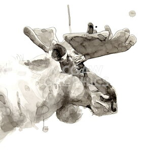 yPhilippe Debongnie A[g|X^[zMOOSE(406×406mm) -CeA-@[XE