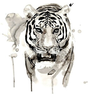 yPhilippe Debongnie A[g|X^[zTIGERi305×305mm) -CeA-@gE