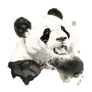 yPhilippe Debongnie A[g|X^[zPANDA(406×406mm) -CeA-@p_E