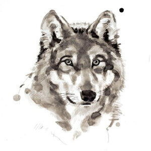 yPhilippe Debongnie A[g|X^[zWOLF(508×508mm) -CeA-@IIJ~E