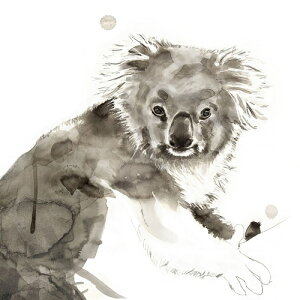 yPhilippe Debongnie A[g|X^[zKOALA(406×406mm) -CeA-@RAE