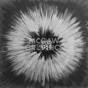 Cathe Hendrick A[g|X^[wTwinclex(305×305mm) -CeA- (]Jbgς݃|X^[) k eCXg  rO G