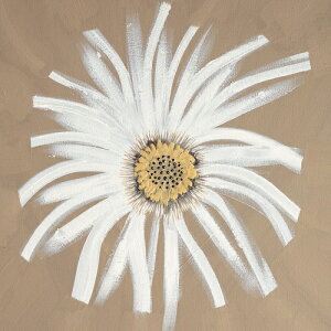 Cathe Hendrick A[g|X^[wPOPx(406×406mm) -CeA- (]Jbgς݃|X^[) k eCXg  rO G