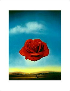 yToh[E_ | GA[g|X^[zґzo(281x358mm) -_- CeA