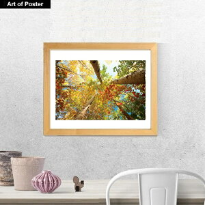 yO[{^jJ V[Y zt A[g|X^[z}CPEnh\wFOREST CANOPYx(320×390×15mm) - CeA - t[t A[g|X^[  A[gpl  A[