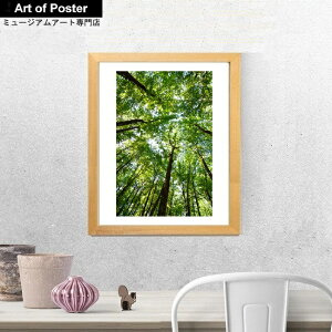 yO[{^jJ V[Y zt A[g|X^[z}CPEnh\wVFih[̖؁Xx(320×390×15mm) - CeA - t[t A[g|X^[  A