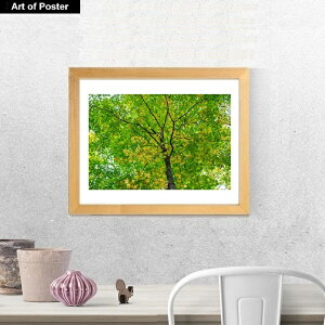 yO[{^jJ V[Y zt A[g|X^[z}CPEnh\wMAPLE LEAF PROFUSIONYx(320×390×15mm) - CeA - t[t A[g|X^[  A[gpl 