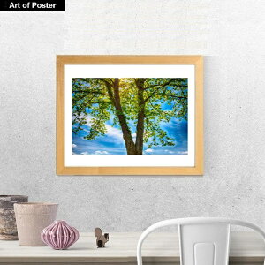 yO[{^jJ V[Y zt A[g|X^[z}CPEnh\wSpring Gloryx(320×390×15mm) - CeA - t[t A[g|X^[  A[gpl  A[