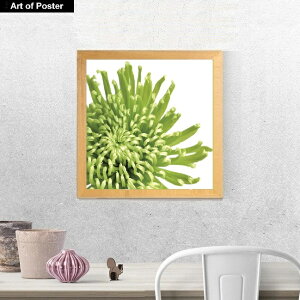 yO[{^jJ V[Y zt A[g|X^[zwGREEN BLOOM 3x(340×340×15mm) -CeA- lC  ` A[gpl  A[g |X^[ O[ {^jJ _