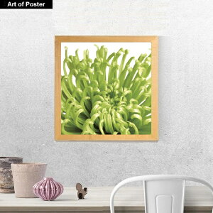 yO[{^jJ V[Y zt A[g|X^[zwGREEN BLOOM 5x(340×340×15mm) -CeA- lC  ` A[gpl  A[g |X^[ O[ {^jJ _