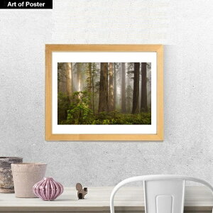 yO[{^jJ V[Y zt A[g|X^[zo[gEbgwMorning Light (̌)x(320×390×15mm) - CeA - t[t A[g|X^[  A[gpl 