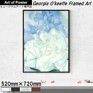 yW[WAEIL[t A~z|X^[zKNƃftBjENo. 2(520×720×7.5mm) -]- CeA