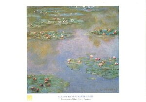 yA[g|X^[z@ (50cm×70cm) -l- CeA