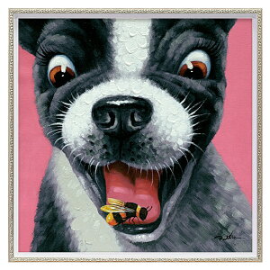 ICyCgA[gwN[XR[Xx (H630×W630mm) OP-018064 G /  / IV