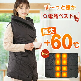 【激アツ価格＆クーポンで3,980円】 電気ひざ掛け 掛け敷き兼用 電気毛布 120×90cm ひざ掛 電気ブランケット 着る毛布 ヒーターブランクケット 速暖 8枚ヒーター 3段階温度調節 USB給電 ふわふわ アウトドア 防寒対策 暖かい 送料無料