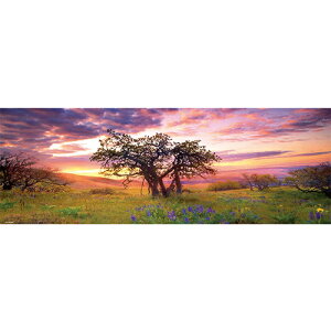 HEYE Puzzle�E�w�C�p�Y�� 29472 Ed. Humboldt : Oak Tree 2000�s�[�X