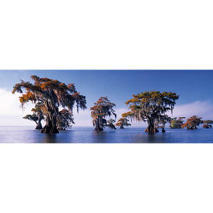 HEYE Puzzle�E�w�C�p�Y�� 29607 Ed. Humboldt : Bald Cypresses 1000�s�[�X