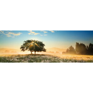 HEYE Puzzle�E�w�C�p�Y�� 29901 Ed. Humboldt : Play of Light 1000�s�[�X