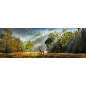 HEYE Puzzle�E�w�C�p�Y�� 29947 Ed. Humboldt : Morning Salute 1000�s�[�X