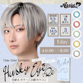 【5月限定★クーポン利用で10％OFF】AssistChouChou HuskyEye :Re アシストシュシュ ハスキーアイ :Reワンデー カラコン 1日 ワンデー 6枚入り 14.5mm カラーコンタクト カラーコンタクトレンズ コスプレ 仮装 度あり 度なし 新色