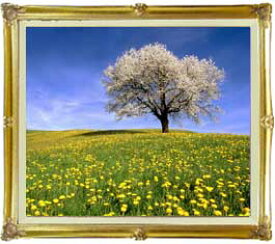 楽天市場 絵画 菜の花の通販