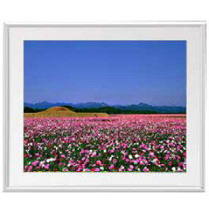 yG Mdグz݂䂭Ԕ A[gt[FFVo[ TCY zL 641×531mm yzLoXEz\ʕیz  i IWiCeAG 