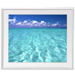 yG Mdグzblue on blue A[gt[FFVo[ TCY zL 641×531mm yzLoXEz\ʕیz  i IWiCeAG 