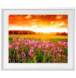 yG MdグzR̗_ A[gt[FFVo[ TCY zL 641×531mm yzLoXEz\ʕیz  i IWiCeAG 