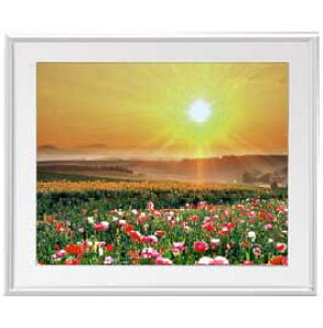 yG Mdグzt[z[v A[gt[FFVo[ TCY zL 641×531mm yzLoXEz\ʕیz  i IWiCeAG 