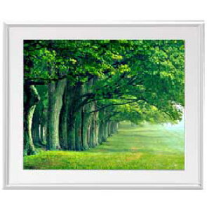 yG Mdグzthe green woods A[gt[FFVo[ TCY zL 641×531mm yzLoXEz\ʕیz  i IWiCeAG 