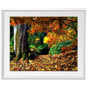 yG MdグzHA[܂ A[gt[FFVo[ TCY zL 641×531mm yzLoXEz\ʕیz  i IWiCeAG 