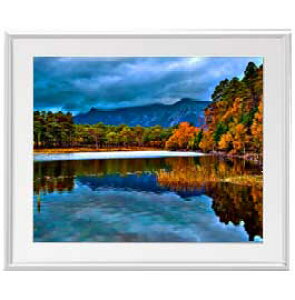 yG MdグzȞ A[gt[FFVo[ TCY zL 641×531mm yzLoXEz\ʕیz  i IWiCeAG 