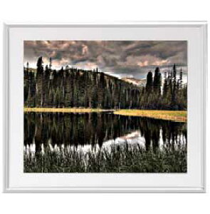 yG MdグzX̌Δ A[gt[FFVo[ TCY zL 641×531mm yzLoXEz\ʕیz  i IWiCeAG 