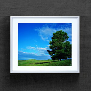 yG MdグzƖ؂Ɖ_ A[gt[FFVo[ TCY zM 511×418mm yzLoXEz\ʕیz  i IWiCeAG 