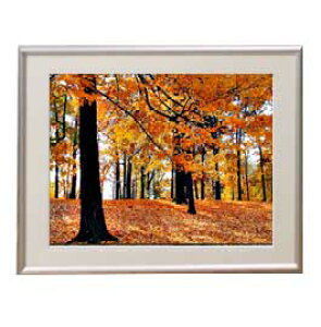 yG MdグzH̏i A[gt[FFVo[ TCY zM 511×418mm yzLoXEz\ʕیz  i IWiCeAG 