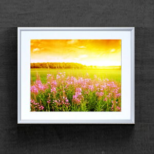 yG MdグzR̗_ A[gt[FFVo[ TCY zM 511×418mm yzLoXEz\ʕیz  i IWiCeAG 