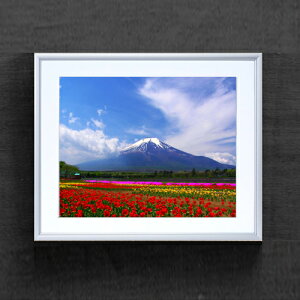 yG MdグztAxmR A[gt[FFVo[ TCY zM 511×418mm yzLoXEz\ʕیz  i IWiCeAG 