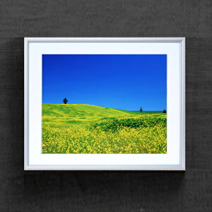 yG Mdグzt-؂̉Ԕ- A[gt[FFVo[ TCY zM 511×418mm yzLoXEz\ʕیz  i IWiCeAG 