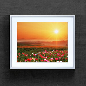 yG Mdグzt[z[v A[gt[FFVo[ TCY zM 511×418mm yzLoXEz\ʕیz  i IWiCeAG 