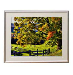 yG MdグzĤ͂܂ A[gt[FFVo[ TCY zM 511×418mm yzLoXEz\ʕیz  i IWiCeAG 