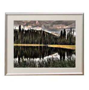 yG MdグzX̌Δ A[gt[FFVo[ TCY zM 511×418mm yzLoXEz\ʕیz  i IWiCeAG 