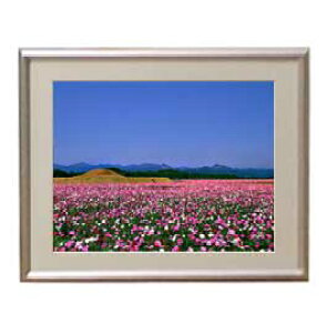 yG Mdグz݂䂭Ԕ A[gt[FFVo[ TCY zS 310×260mm yzLoXEz\ʕیz  i IWiCeAG 