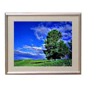 yG MdグzƖ؂Ɖ_ A[gt[FFVo[ TCY zS 310×260mm yzLoXEz\ʕیz  i IWiCeAG 