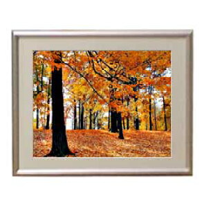 yG MdグzH̏i A[gt[FFVo[ TCY zS 310×260mm yzLoXEz\ʕیz  i IWiCeAG 