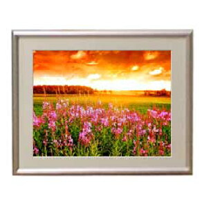yG MdグzR̗_ A[gt[FFVo[ TCY zS 310×260mm yzLoXEz\ʕیz  i IWiCeAG 