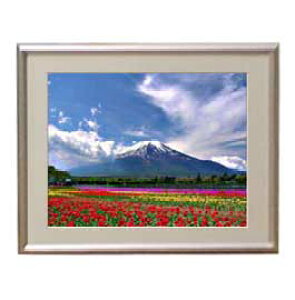 yG MdグztAxmR A[gt[FFVo[ TCY zS 310×260mm yzLoXEz\ʕیz  i IWiCeAG 