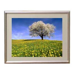 yG Mdグzt-ƍ؂̉- A[gt[FFVo[ TCY zS 310×260mm yzLoXEz\ʕیz  i IWiCeAG 