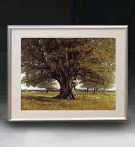yG MdグzMX^[EN[x The Oak at Flagey A[gt[ TCY zM y zLoX Yz G ̔ i 511×418mm  