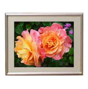 yG MdグzFlowers t[Y 001 A[gt[ TCY zS y zLoX Yz Ԃ̊G Õ 310×260mm CeAA[g  