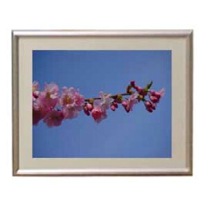 yG MdグzFlowers t[Y 010 A[gt[ TCY zS y zLoX Yz Ԃ̊G Õ 310×260mm CeAA[g  